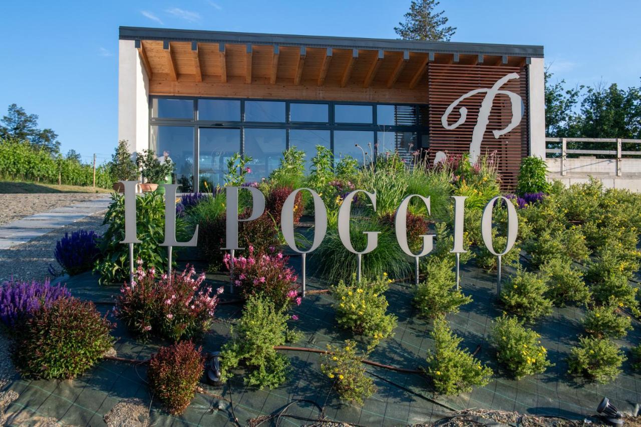 B&B Il Poggio Di Gavi Exteriör bild