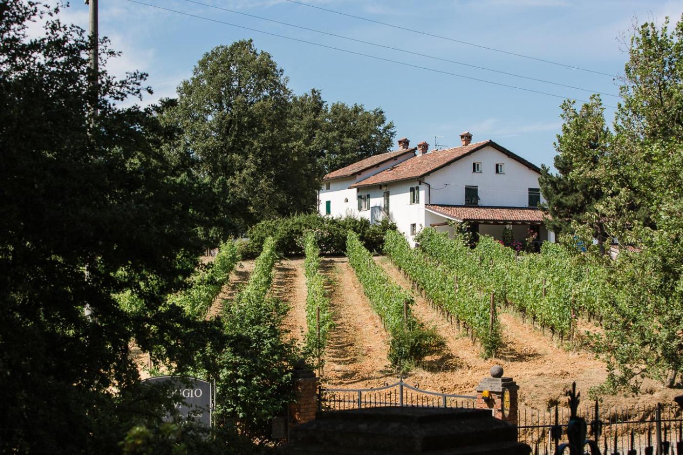 B&B Il Poggio Di Gavi Exteriör bild